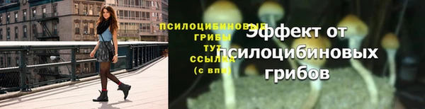 кокаин колумбия Алзамай