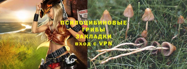 амф Алексин