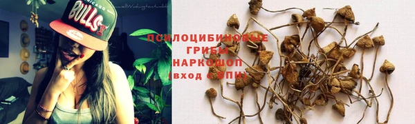 ECSTASY Абинск