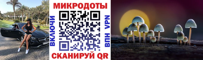 Галлюциногенные грибы Psilocybine cubensis  Богучар 